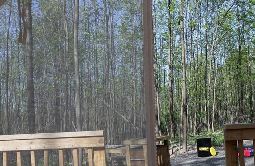 Hartwick RV Rental | Tentrr Signature Site - "Scenic" (the one with the sunrise view!)