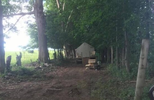 Johnstown RV Rental | Tentrr Signature Site - Dreamroad Farm Pasture View