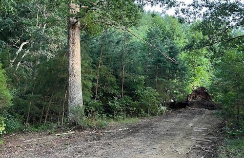 Unionville Other | Cozy Tentrr Signature Site - Verdiersville Tavern Stay