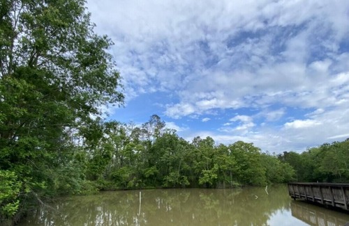 Springfield RV Rental | Tentrr State Park Site - Louisiana Tickfaw State Park - Pond View A - Single Cam