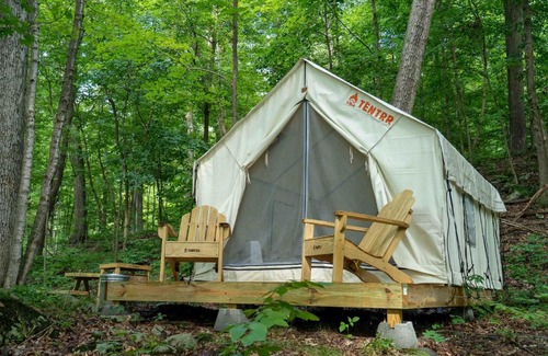 Staatsburg Other | Experience Nature at Tentrr State Park Site - Mills Norrie