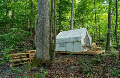 Staatsburg Other | Experience Nature at Tentrr State Park Site - Mills Norrie