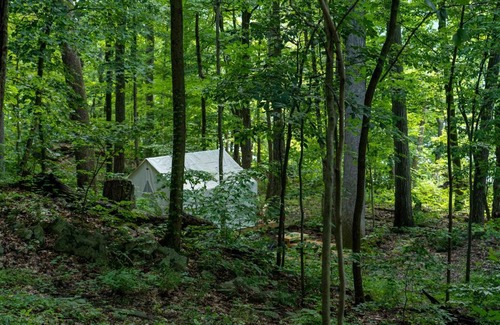 Staatsburg Other | Experience Nature at Tentrr State Park Site - Mills Norrie