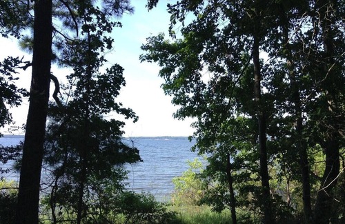Anacoco RV Rental | Tentrr State Park Site - Louisiana South Toledo Bend State Park - Site F - Sing