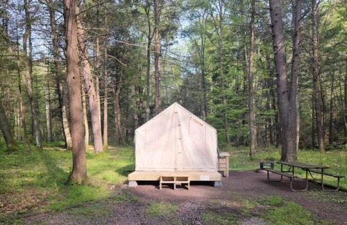 Swanton RV Rental | Tentrr State Park Site - Big Run State Park - Site D