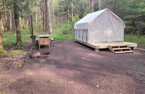 Swanton RV Rental | Tentrr State Park Site - Big Run State Park - Site F