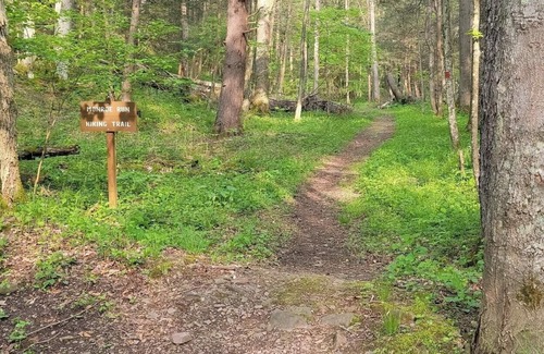 Swanton RV Rental | Tentrr State Park Site - Big Run State Park - Site F