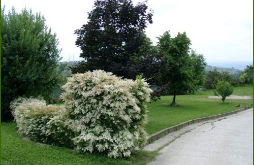 Clavesana House | Pet-Friendly Retreat at Tenuta di Costa Prà Awaits You