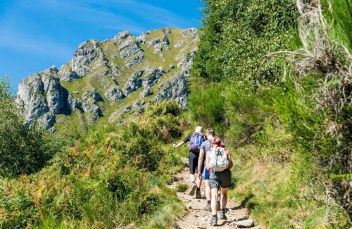 Montemezzo Apartment | Discover Tenuta il Sogno: Family & Pet-Friendly Retreat