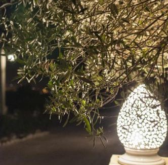 Noto House | Inviting Tenuta Olive Alive: Pet-Friendly Getaway with Pool