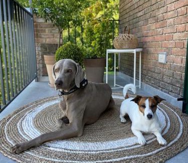 Rivanazzano House | Guest Rated 10/10: Tenuta Pizzone - Pet Friendly Getaway