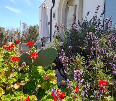 Casamassella Bed & Breakfast | Pet-Friendly Valle dell Idro Otranto with Ocean Views
