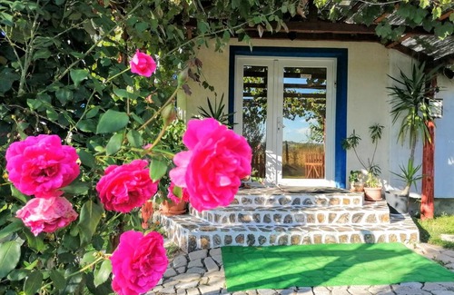 Baile Felix House | Budget-Friendly Teo Guest Rooms with Family Amenities