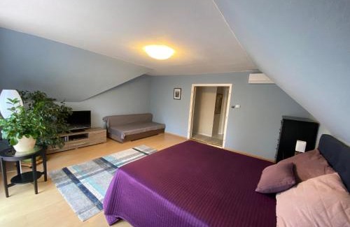 Csomor House | Teresa Guest House: Family-Friendly Retreat with Kitchen