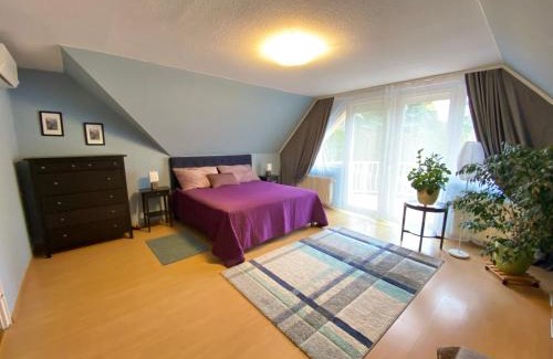 Csomor House | Teresa Guest House: Family-Friendly Retreat with Kitchen