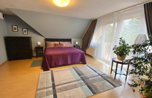 Csomor House | Teresa Guest House: Family-Friendly Retreat with Kitchen