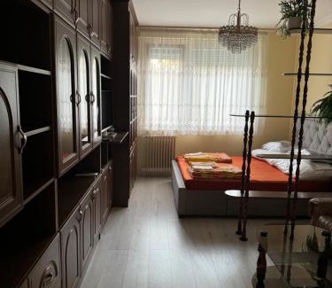 Tiszaujvaros Apartment | Termál Apartman
