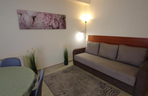 Hajduszoboszlo Apartment | Family-Friendly Retreat at Termál Schmitz Apartmanok B5