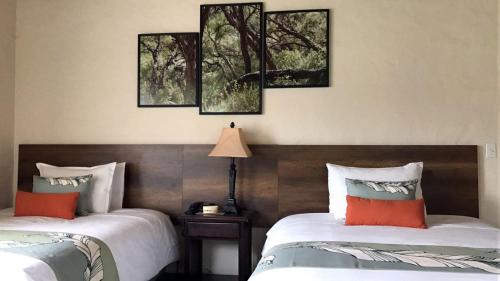 Sierra Resort | Discover Termas de Papallacta: 5-Star Spa Retreat Awaits