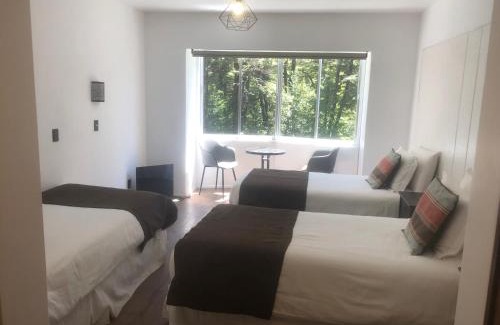 Palguin Alto Hotel | Discover Termas Palguin Pucón: Top-Rated Family Getaway