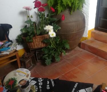 Segade House | Oceanfront Retreat at Terraços da Beira - Pet Friendly Stay