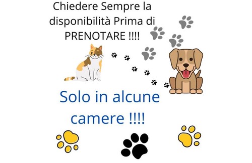 Frosinone Bed & Breakfast | Pet-Friendly Terra Ciociara B&B with Breakfast Included