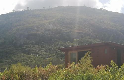 Piriapolis Other | Terra Cristal - Amatista