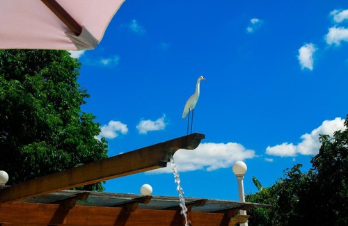 Lencois Hotel | Top-Rated Terra dos Diamantes Hotel with Pool & Family Amenities