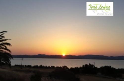 Moudros House | Discover Terra Lemnia: Pet-Friendly Getaway with Hot Tub