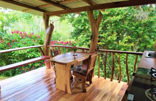 Chiguata House | Discover Terra NaturaMa: Jungle Retreat with Unique Amenities