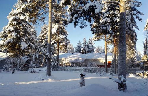 Rovaniemi House | Discover Terra Ultima: Pet-Friendly, 4-Star Retreat