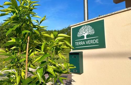 Buzet House | Oceanfront Escape at Terra Verde: Pet Friendly & Family Fun