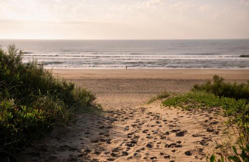 Ostende Hotel | Discover Terrazas de Ostende - 4-Star Oceanfront Escape