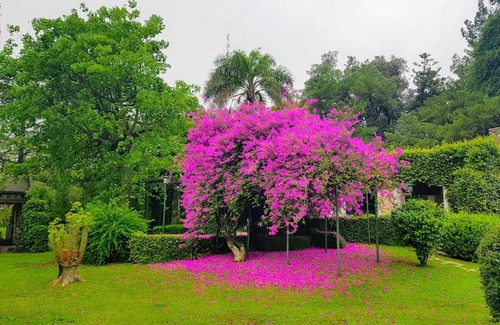 Parana Cabin | Pet Friendly Terrazas Paraná: Enjoy Pool and Breakfast