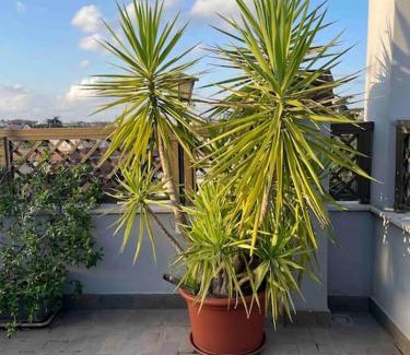 Quartiere XXVIII Monte Sacro Alto Apartment | Terrazza Talenti