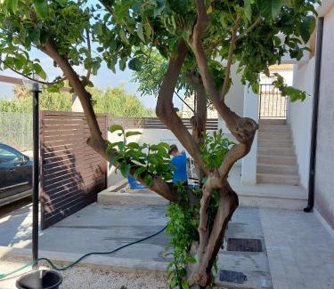 Punta Secca House | Oceanfront Comfort at Terrazzo il Limone: Rated 9.5/10