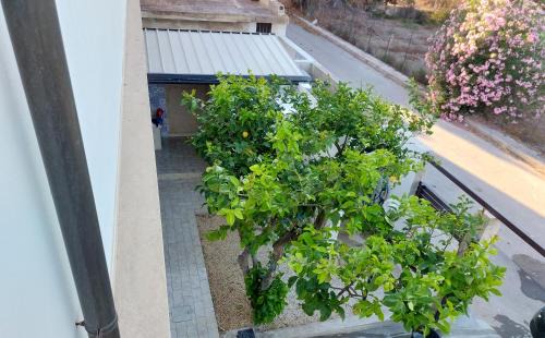 Punta Secca House | Oceanfront Comfort at Terrazzo il Limone: Rated 9.5/10