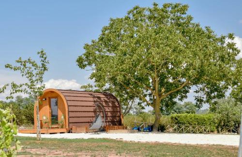 Capodimonte Other | Terre Di Nacchia