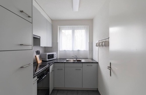 Seefeld Apartment | Terrific 1 BR flat city center/near lake (D9)