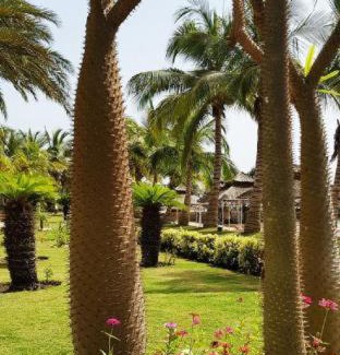 Dakar Hotel | Experience Terrou-Bi: Beachfront Bliss with Spa & Pool