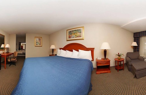 Denton Hotel | Texas Inn & Suites-Denton