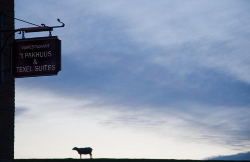 Oudeschild Hotel | Elegant Texel Suites: Family-Friendly & Top-Rated Stay