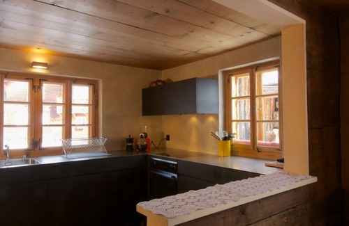 Tujetsch Apartment | Relaxing Alpenlodge Tgèsa Surrein Giassa10 with Lake View
