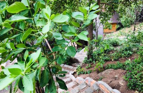Cam Ranh House | Oceanfront Thanh Nhi Homestay with Breakfast & Kids’ Play Areas