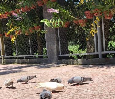 Cu Chi House | Pet-Friendly Thanh Thuy: Rated 9/10 with Breakfast Included