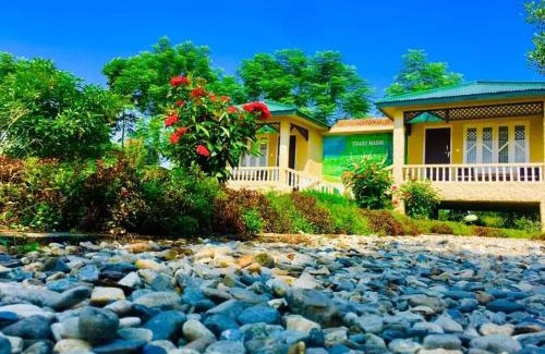 Sauraha Hotel | Discover Tharu Mahal: Family-Friendly Stays with Pets Welcome