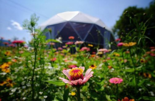 Cesiomaggiore Other | Unforgettable Glamping Experience in the Dolomites!