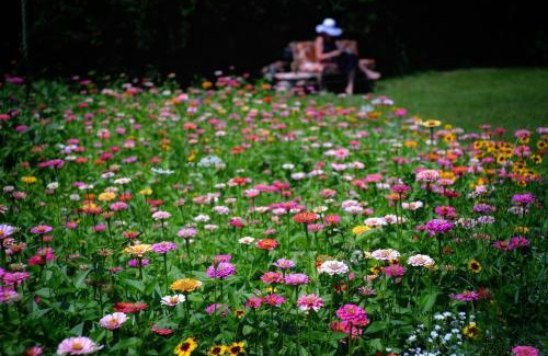 Cesiomaggiore Other | Unforgettable Glamping Experience in the Dolomites!