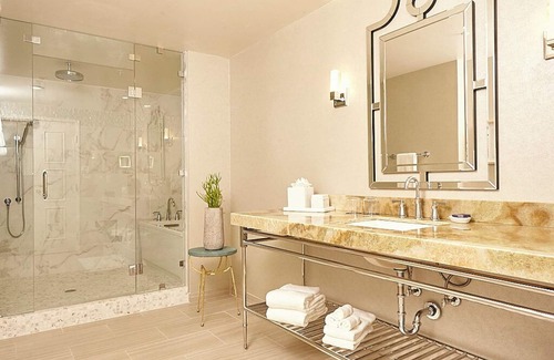 Downtown Dallas Hotel | Elegant The Adolphus: 5-Star Escape with Pool & Spa