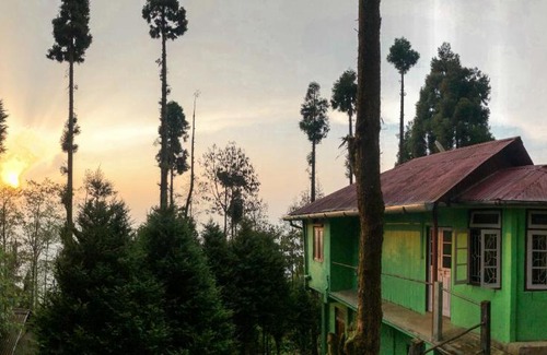 Turuk House | Budget-Friendly Stay at The AlderNest - Pet & Child Friendly